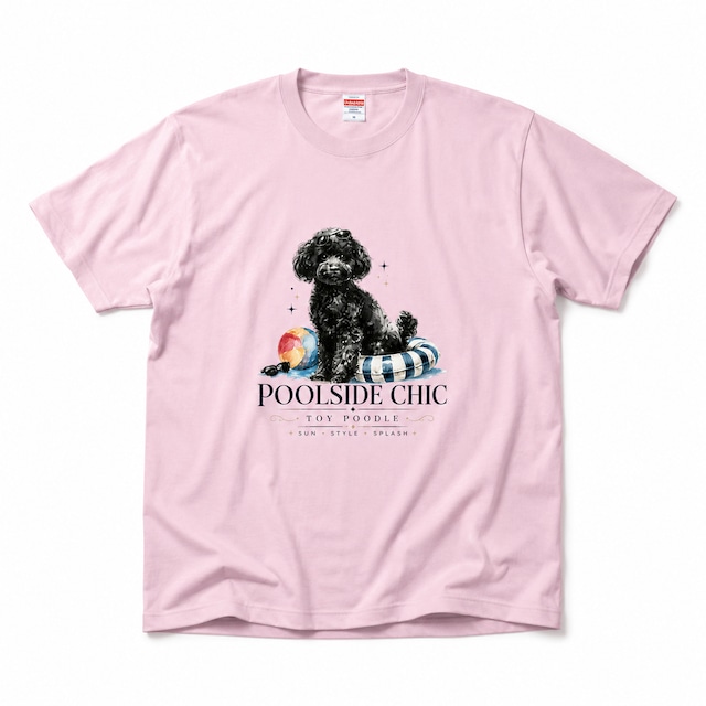 Toy Poodle トイプードル | DGRU