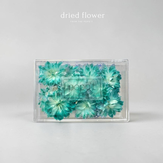 dried flowers shop .by popo't