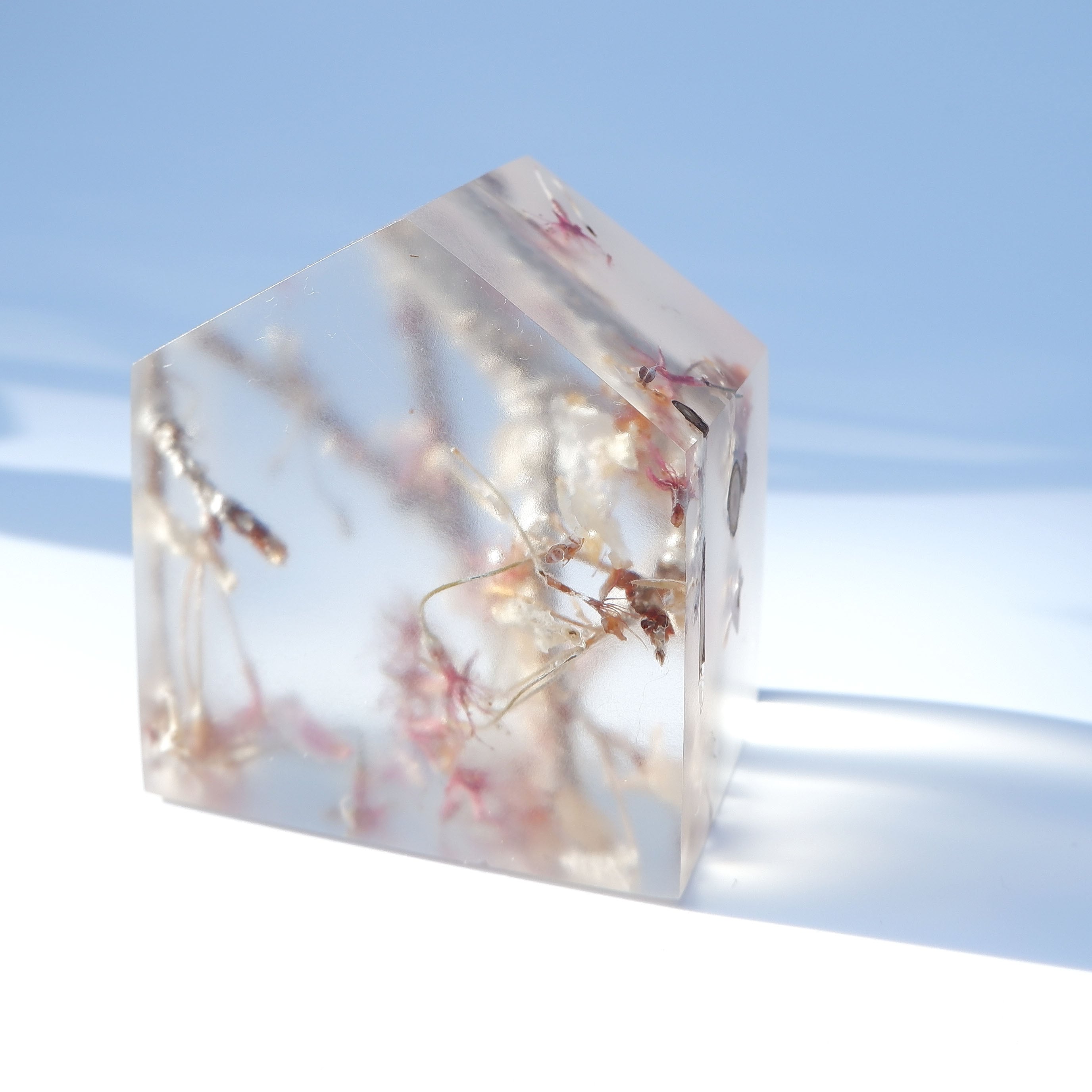 安藤真司「森の花 2025-1」 | Azur rose Galerie ／ アズールロゼ