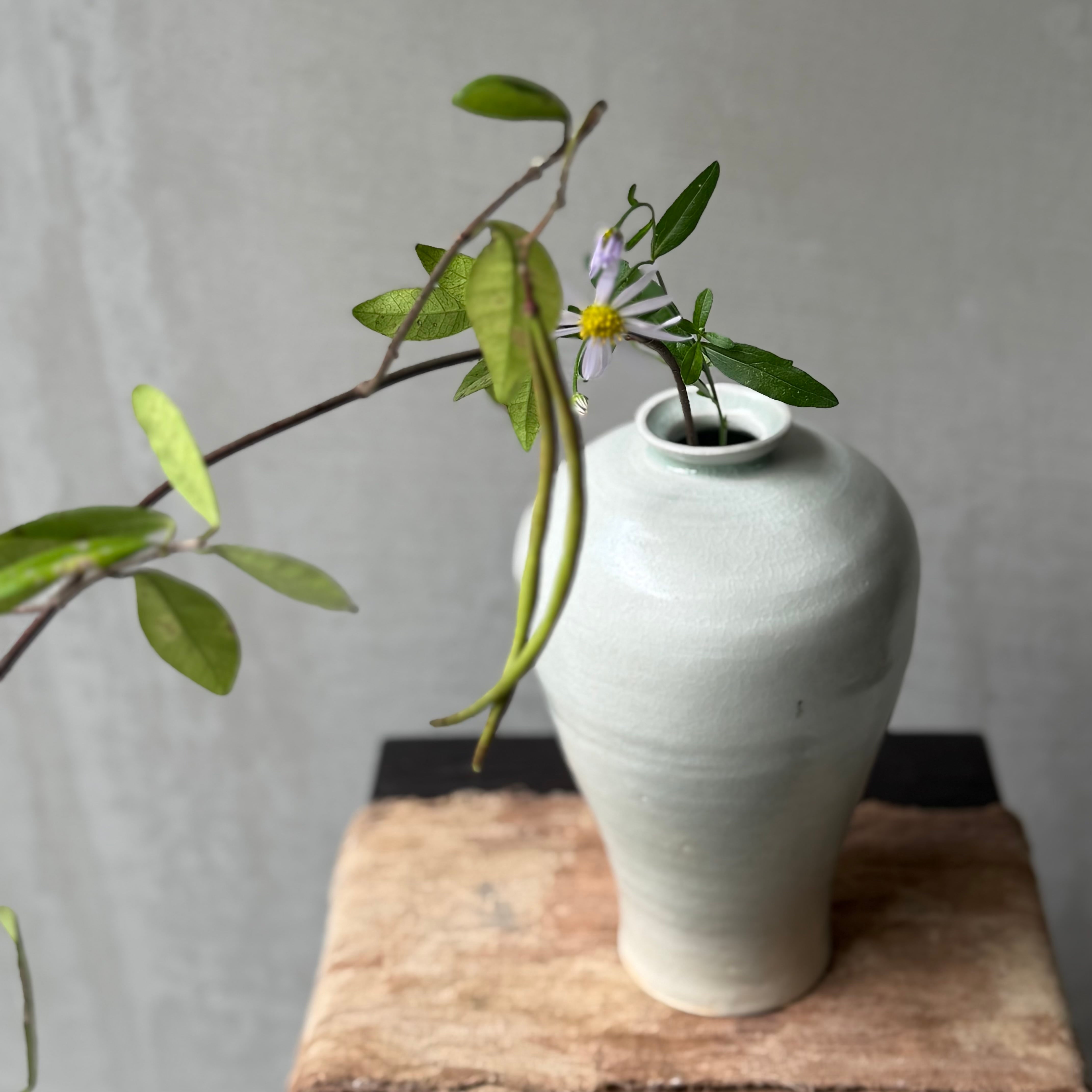 日高伸治 白磁梅瓶 | gallery 一白