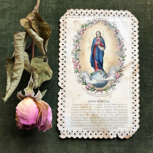 薔薇の聖母のホーリーカード
