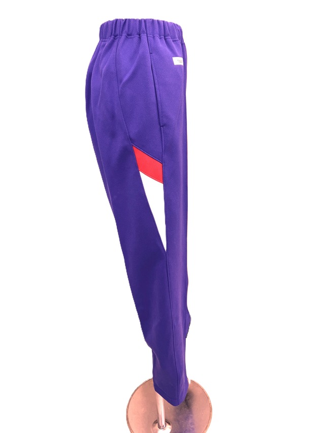 栄中学校　旧タイプ　女子　 ジャージズボン