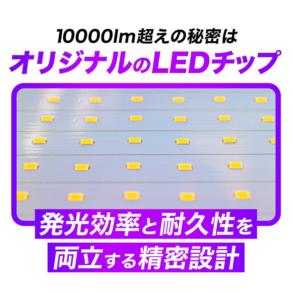 VELENO MORTALE イエロー 11700lm / ホワイト 11000lm LEDフォグランプ