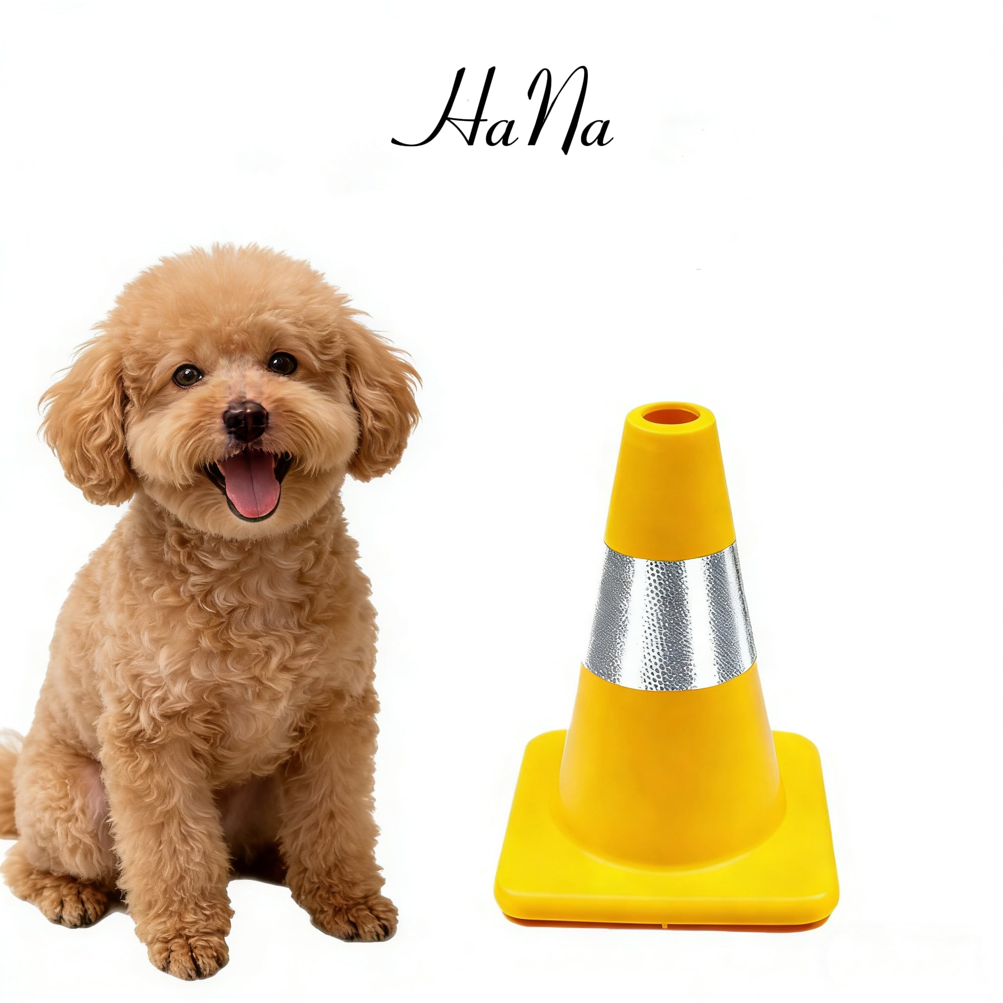 72.オス犬用 トイレしつけ用コーン マーキング防止 おしっこ用ポール
