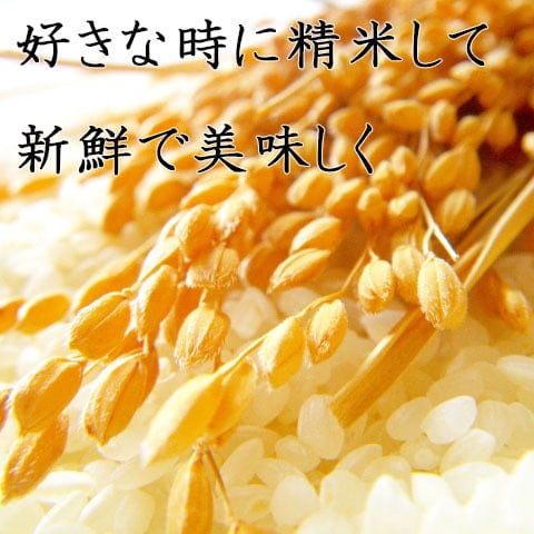 新米！秋田小町 あきたこまち【 籾米 もみごめ 】 長野県産 10kg