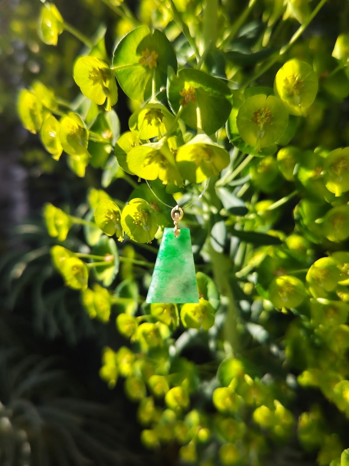 翡翠ペンダントトップ（18K）｜繁栄と守護を授けるミャンマー翡翠 | 日