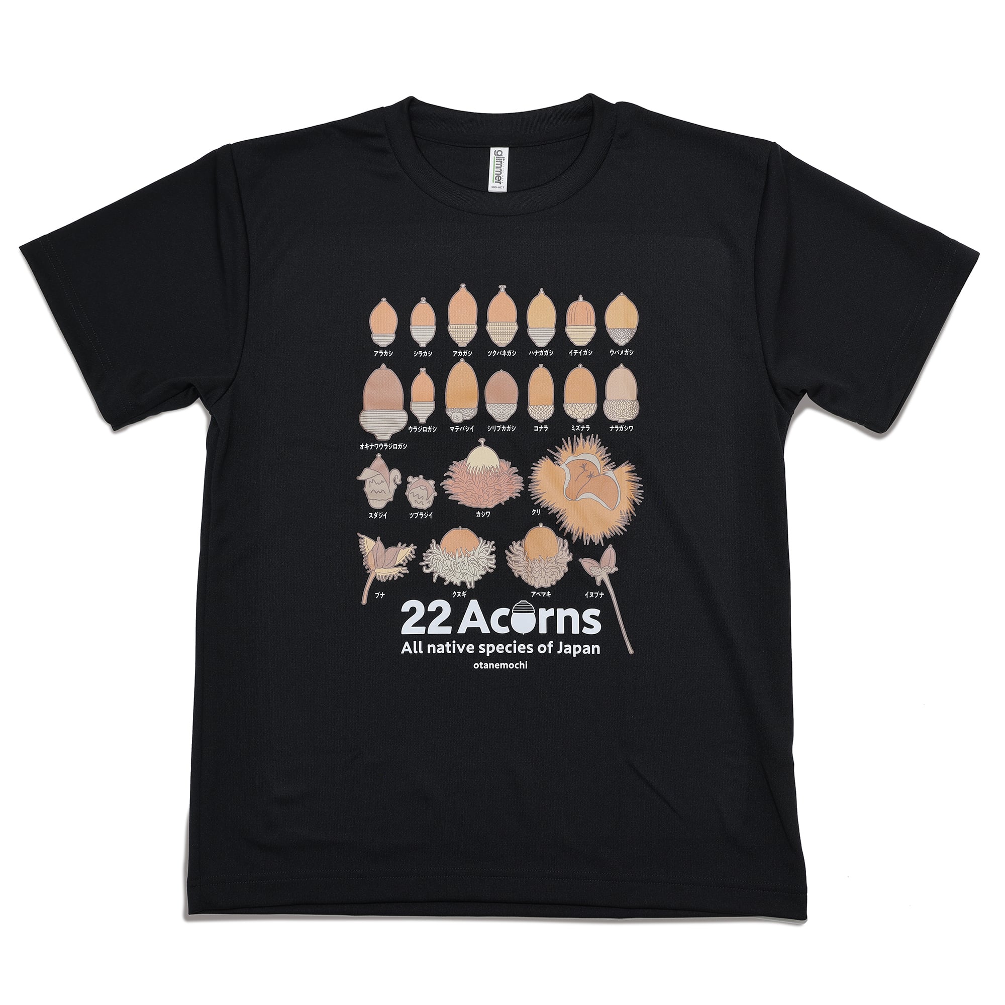 どんぐり出品 どんぐり＊まつぼっくり特派員情報🌰｜ねっこぼっこ