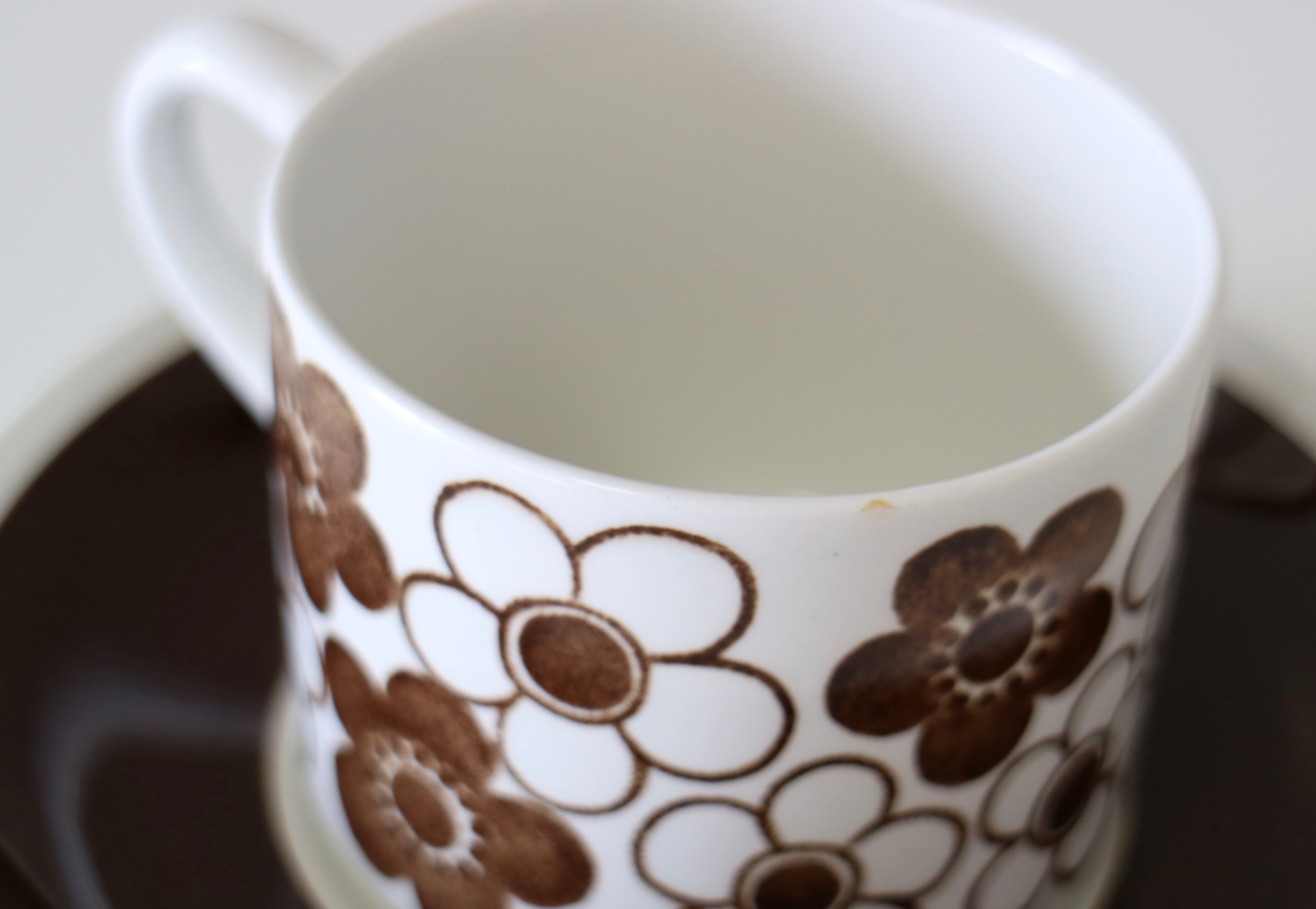 vintage】Rorstrand ロールストランド / ANEMON アネモン C/S 1902