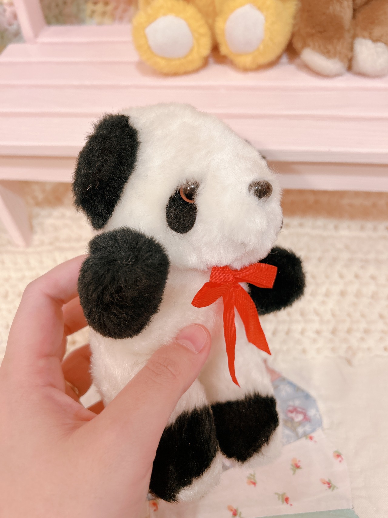 animalの画像13