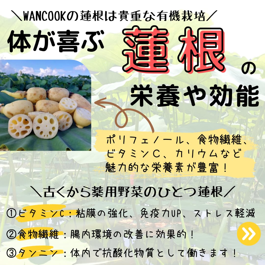 やぎミルク入り豚肉おからバーグ大口お得セット