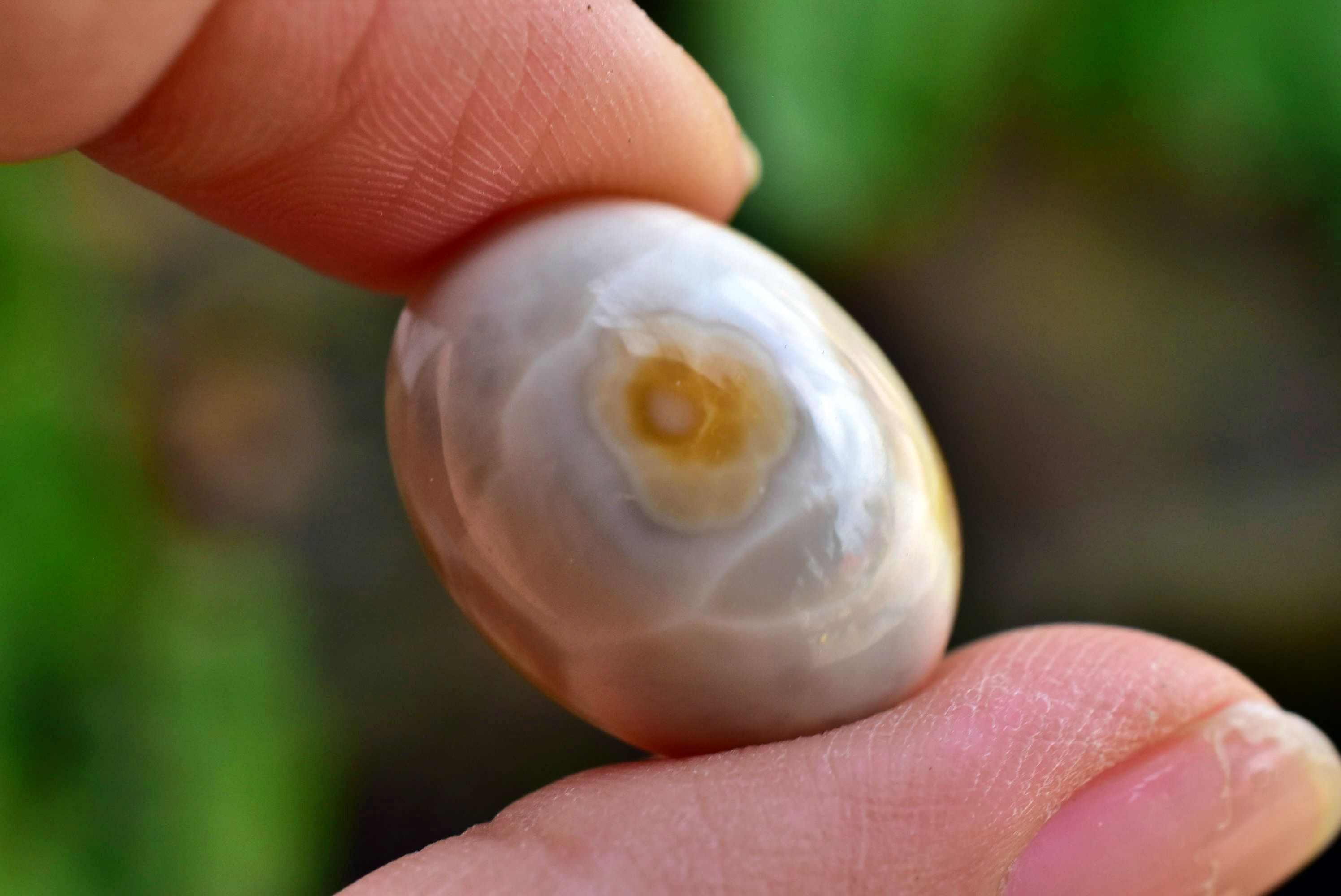 グレープカルセドニー （アゲート） | Funky garuda Stone (ファンキー