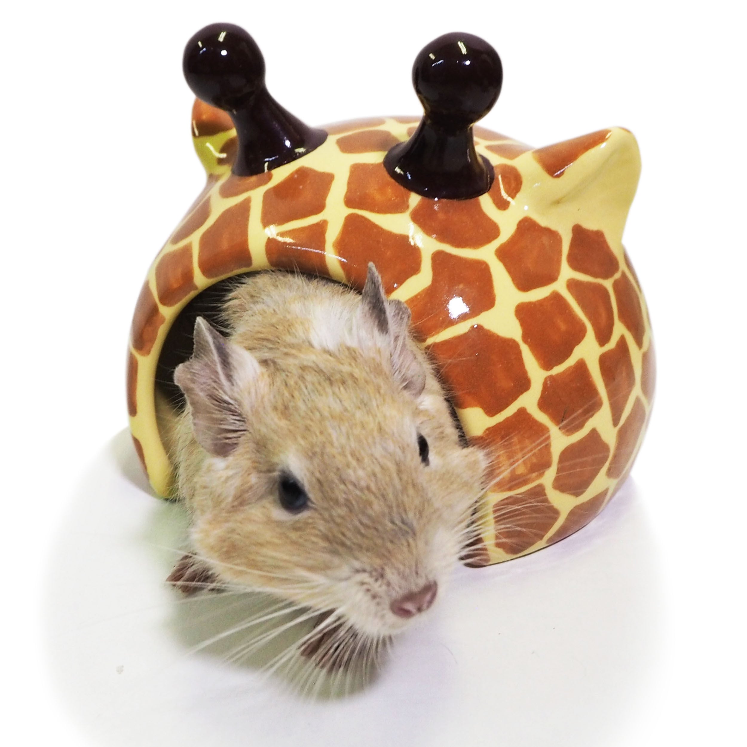 【小動物】 小動物アニマルドーム レオパード/きりん