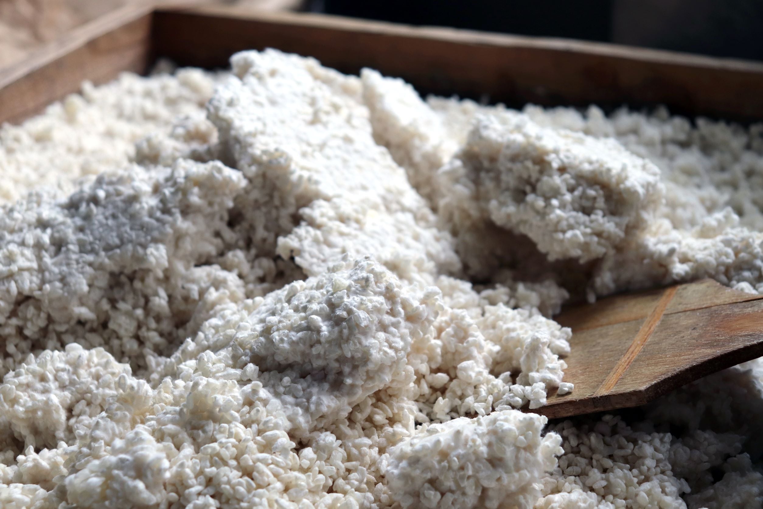 減農薬特別栽培米【大輝地米の冷凍生麹】500g袋入り