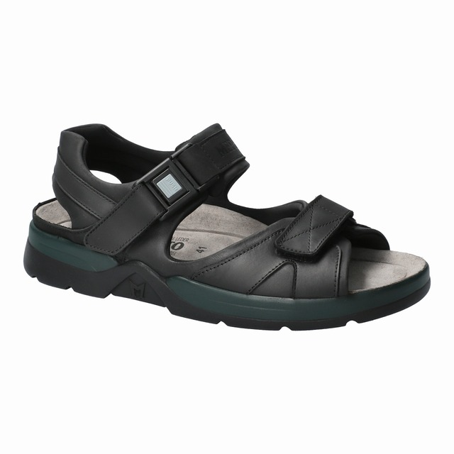 SHARK FIT 5129763 BLACK