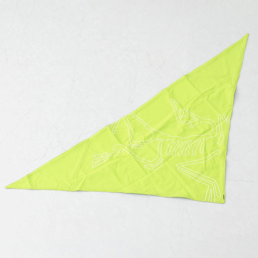 ARC'TERYX [アークテリクス正規代理店] Sinsolo Bandana [X000010184