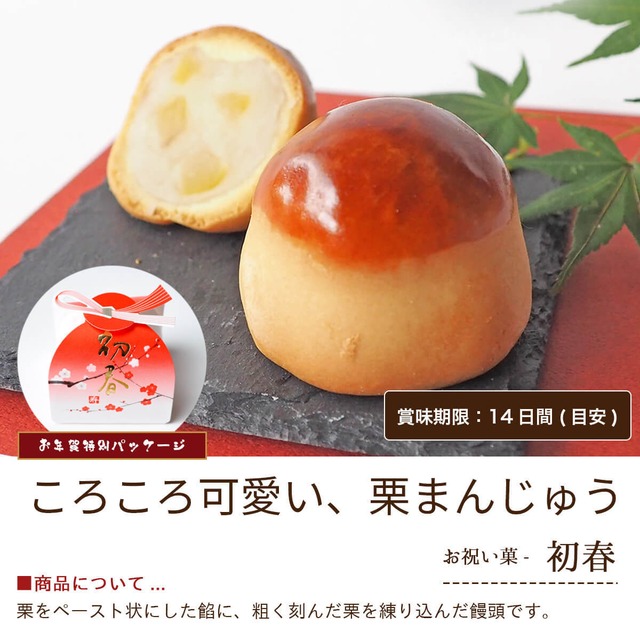 迎春 お年賀「銘菓撰10」 2種 詰め合わせ #お正月#和菓子#うま年#お祝い