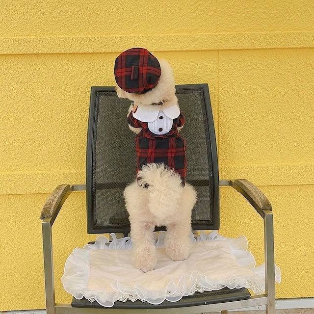 【予約】ブラックウォッチベレー帽