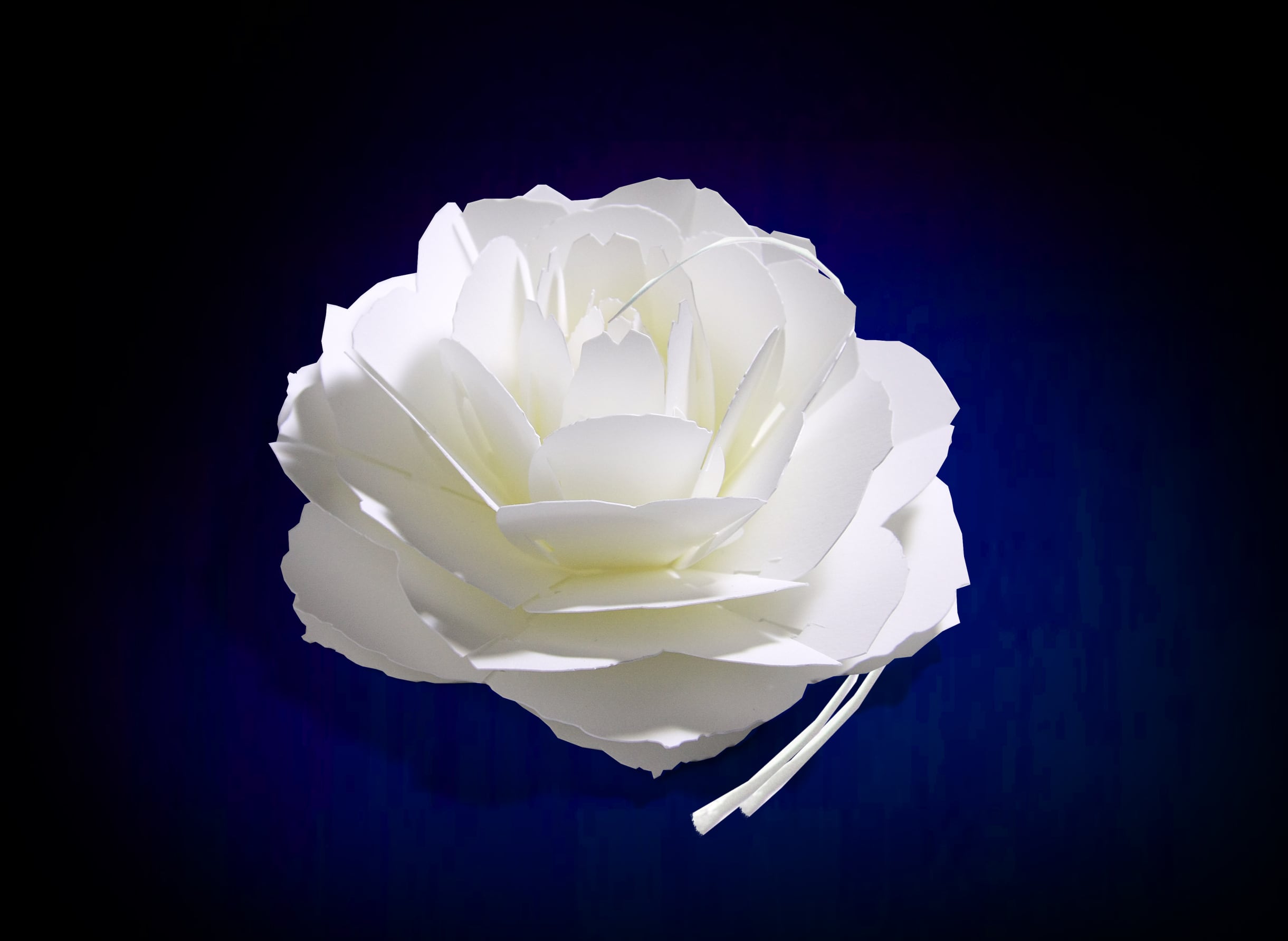 紙の花のしおり ポップアップペーパーブックマーク〈ローズ〉Pop-up