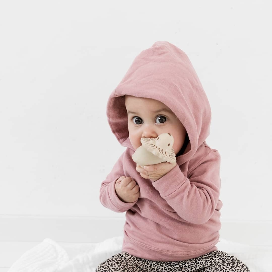 Rattle & Bath Toy Lion_96012