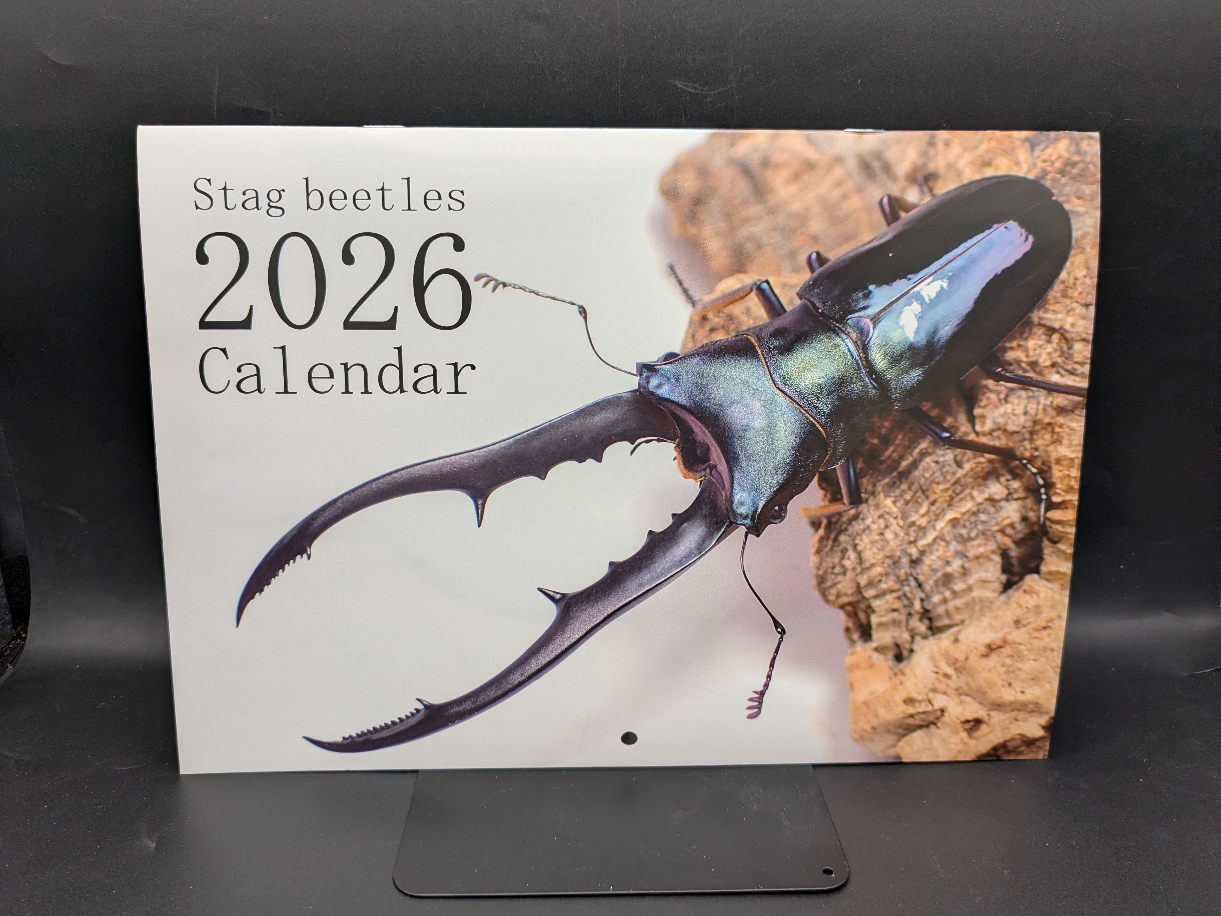 わたくわさん 2026カレンダー【壁掛タイプ】