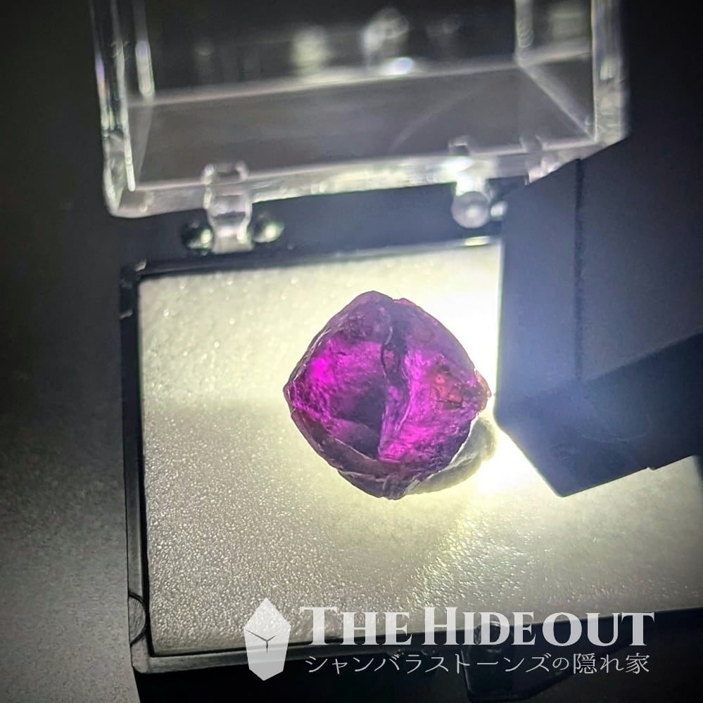 ヒマラヤ産鉱物原石標本031 サンクワサバ地区/ジャウジャラ鉱山産アルマンディンガーネット 圧巻の自然光透けロードライト