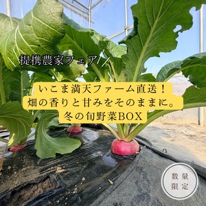 【提携農家コラボフェア】いこま満天ファーム直送！畑の香りと甘みをそのままに。 冬の旬野菜BOX