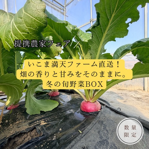 【提携農家コラボフェア】いこま満天ファーム直送!畑の香りと甘みをそのままに。 冬の旬野菜BOX