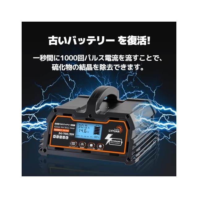 リョクエン（LVYUAN）【正規品】 全自動パルスバッテリー充電器 定格