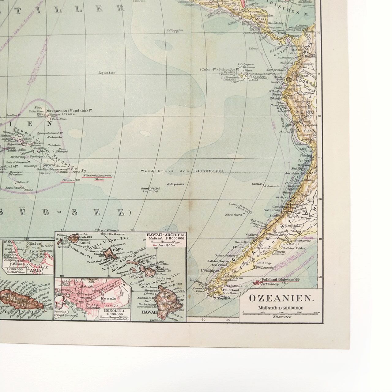 現オーストラリア大陸・ニュージーランド・ポリネシア