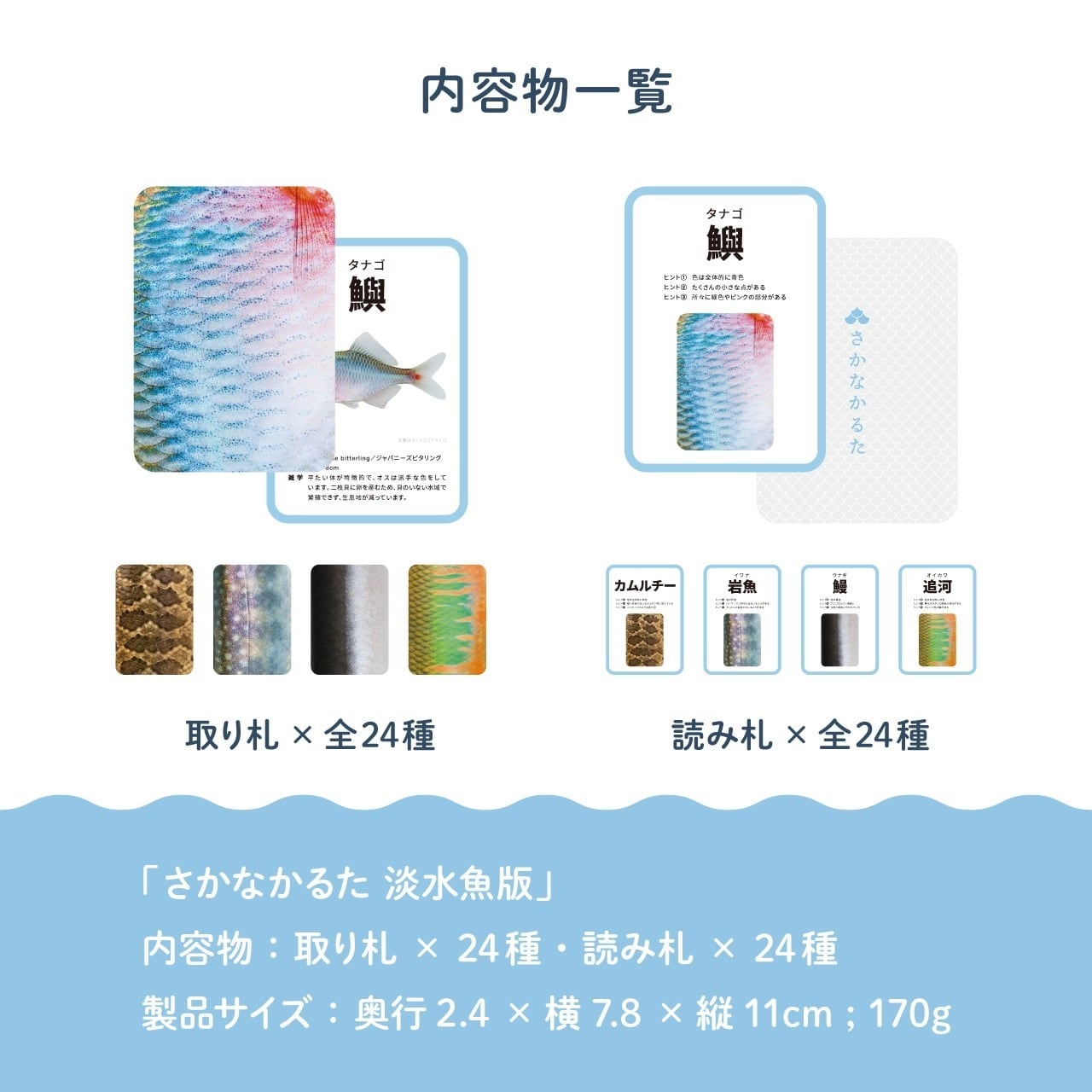 模様だけで魚種を当てよう！「さかなかるた」 | CAMP HACK STORE