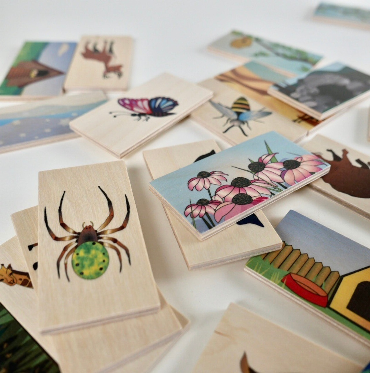 デュシマ社 アニマルリビング