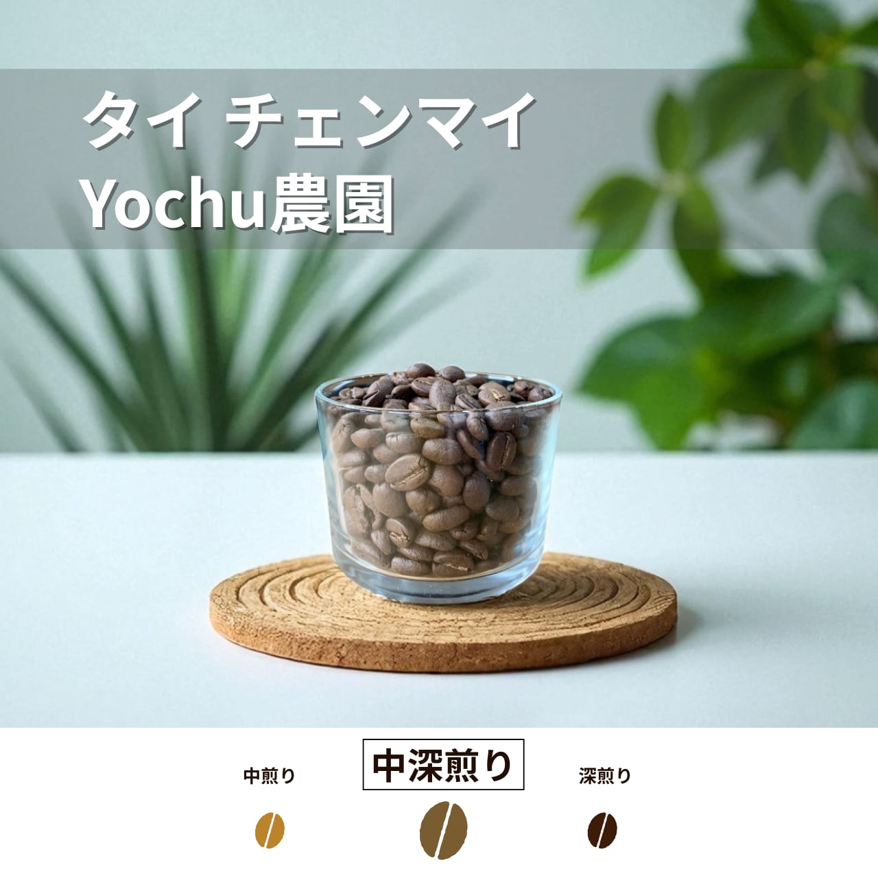 【スペシャルティコーヒー豆】タイ チェンマイ Yochu農園