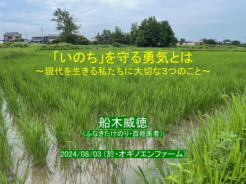 無農薬紅茶】新茶 紅茶 60g入り【令和7年】 | オギノエンファーム 無