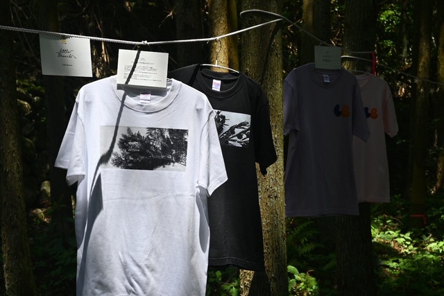 スギとヒノキを見分けるTシャツ