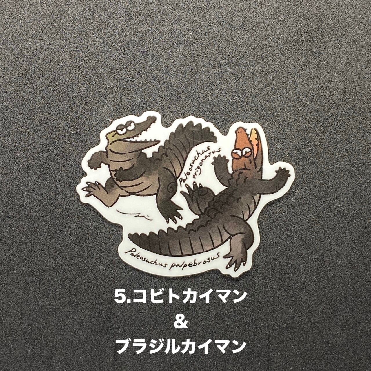 ahpl ワニニョロ　ステッカー2枚付き ワニ活ステッカー（各色4枚入 計20枚）特典付 | PrintCrocos