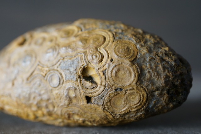 ゴビアゲート Gobi Agate 1129