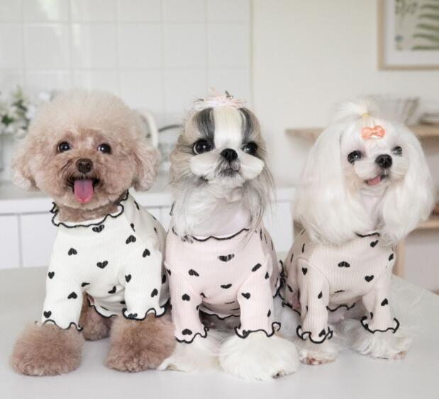 《予約》№1101894 ぷちハートトップス