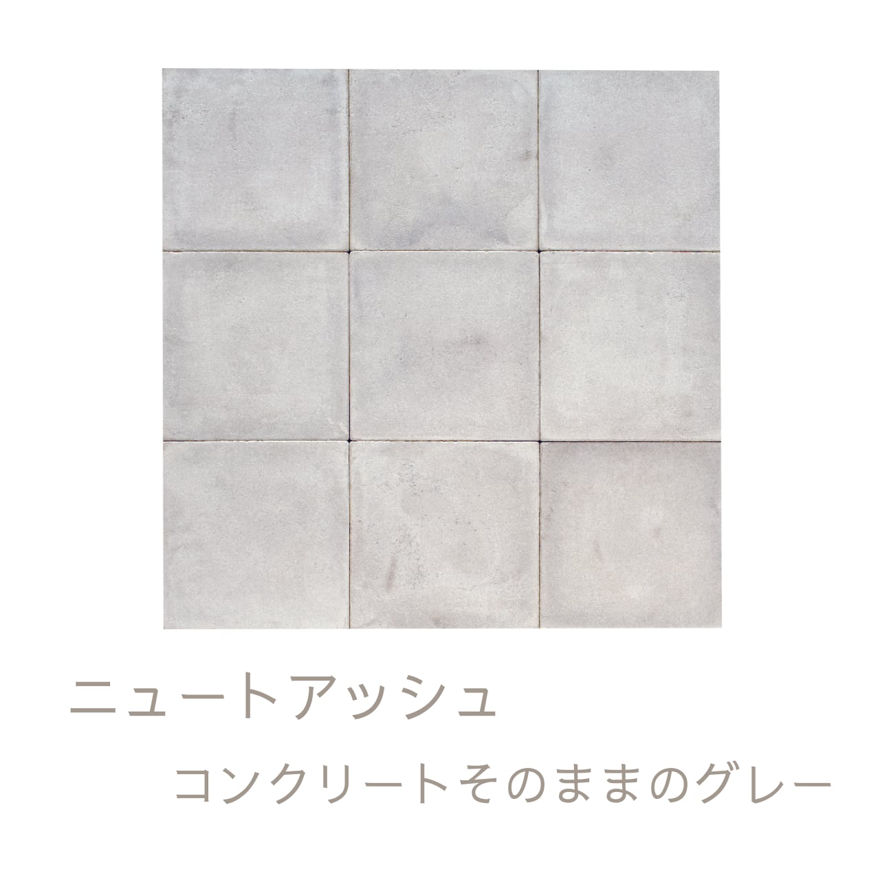 ニュートペイブ　NEWT PAVE