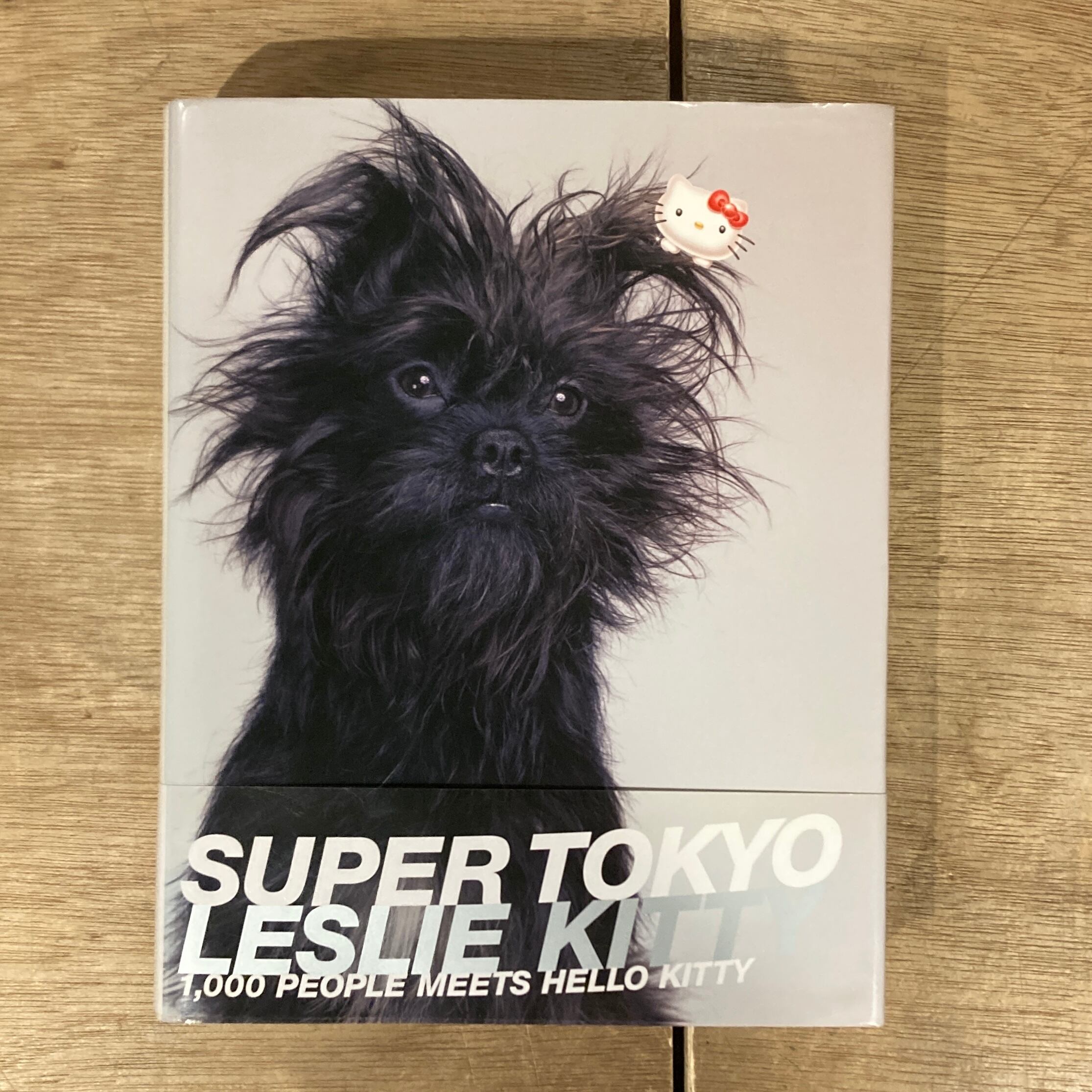 大括弧 ゆるやかにみつめるためにいつまでも佇む、装置 / 中西夏之 | 百年