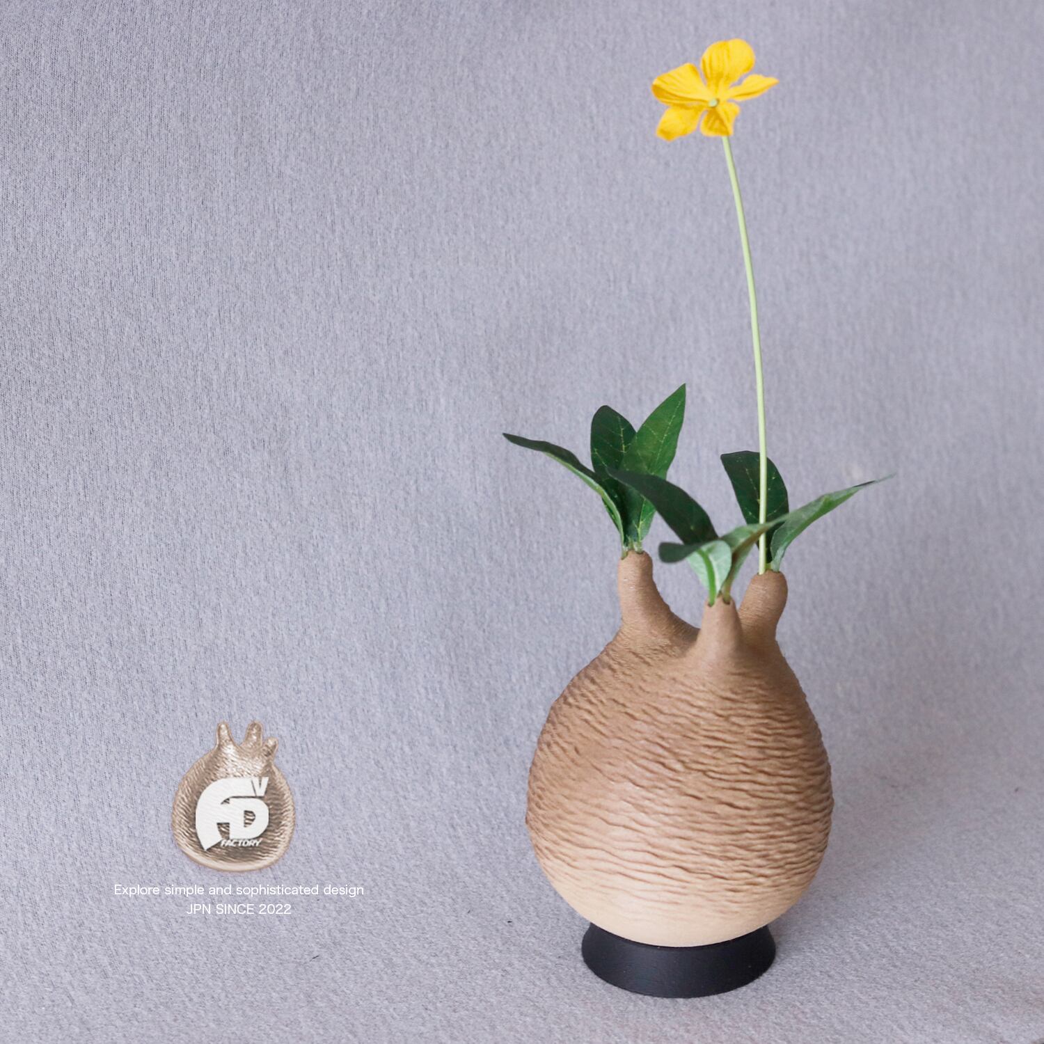 触れたくなるCaudex造形｜パキポディウム グラキリス｜(130x240) Ssize