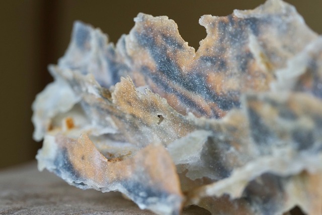 カルセドニー / クローライト ② Chalcedony / Chlorite