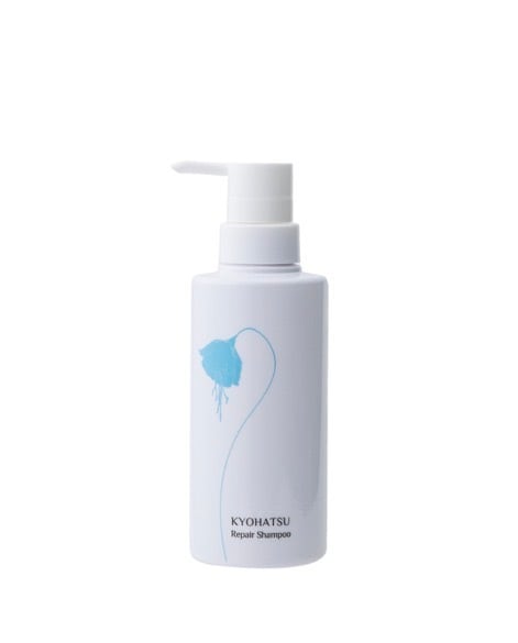 ハリスプロトンDシャンプー レフィル500ml | PAY ID