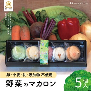 【5個入】卵不使用！野菜のマカロン（5種×1個）＊無添加＆卵・乳・小麦不使用の野菜スイーツ