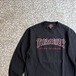 THRASHER × INDEPENDENT / ls T-shirt size M