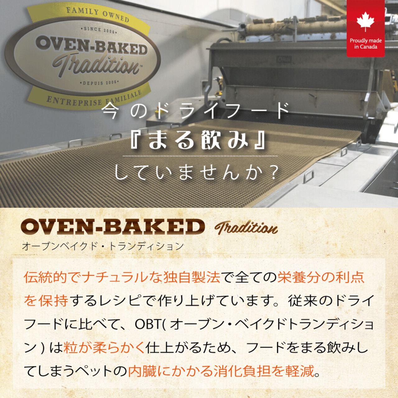 OVEN BAKED：アダルト フィッシュ100g