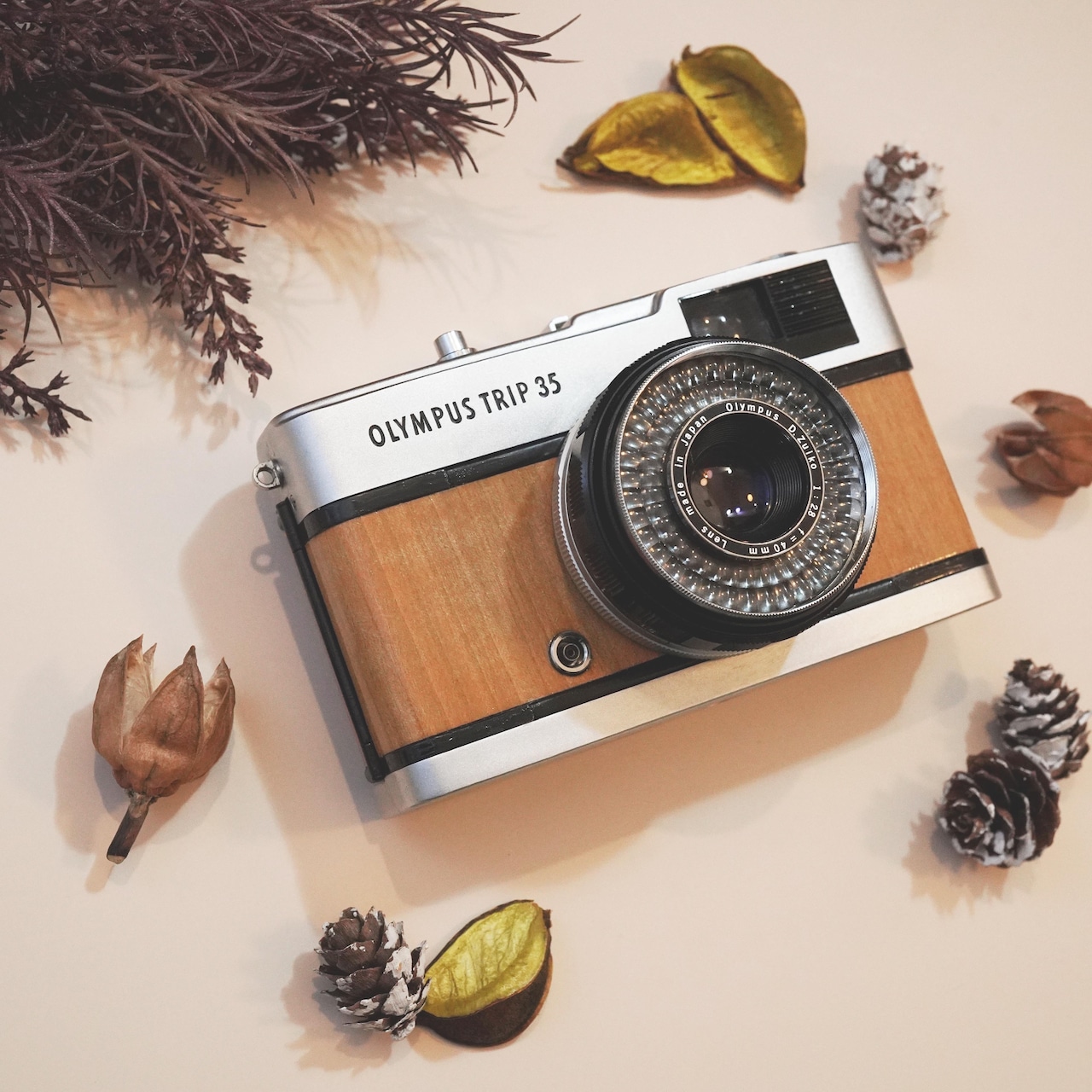 KOHAKU 琥珀 Olympus Trip35　