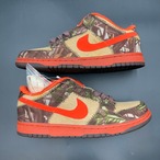 SB DUNK LOW PRO SB HUNTER 304292-281