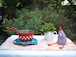 french antique red lustucru dessous de plat en enamel　フランス　アンティーク　市松柄　ブルー　鍋敷き　