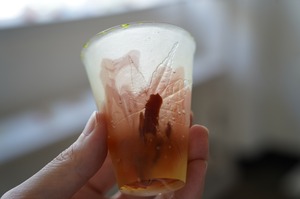 杯　楓　王承龍　1
