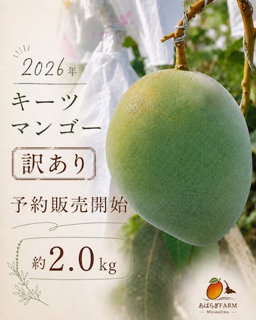 宮古島産 極上の逸品 完熟 アップルマンゴー2kg （4～5玉）15度以上